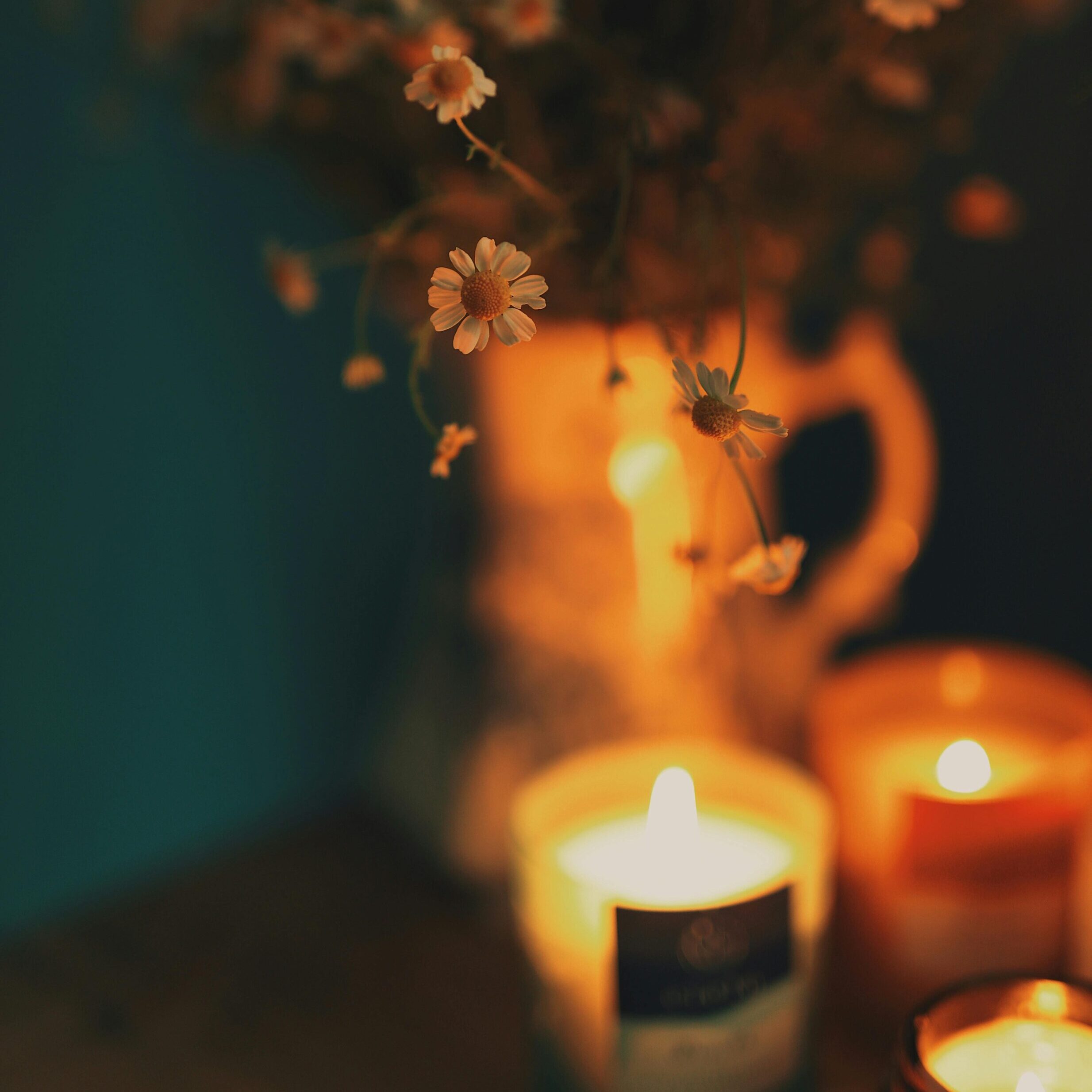 pexels-nida-kurt-5079840-8696683 (1)